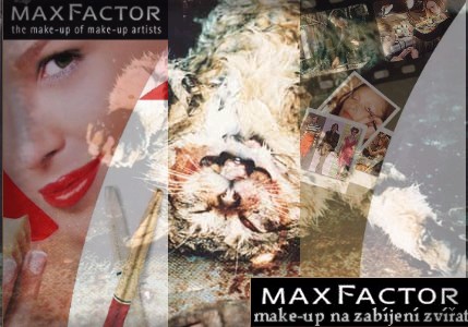 max factor